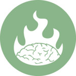 BrainCamp Cologne 2013